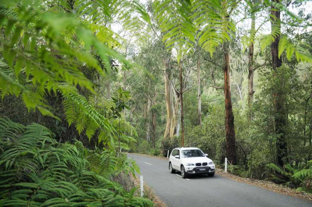 Four wheel drive on Walhalla Road, West Gippsland